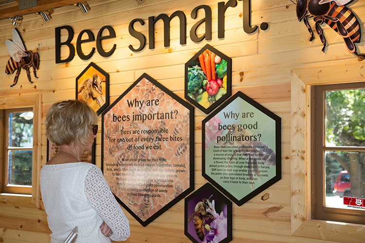Bee Barn