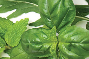 herbs